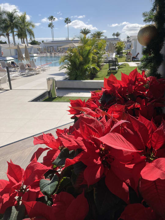 Sonstiges Club Maspalomas Suites & SPA