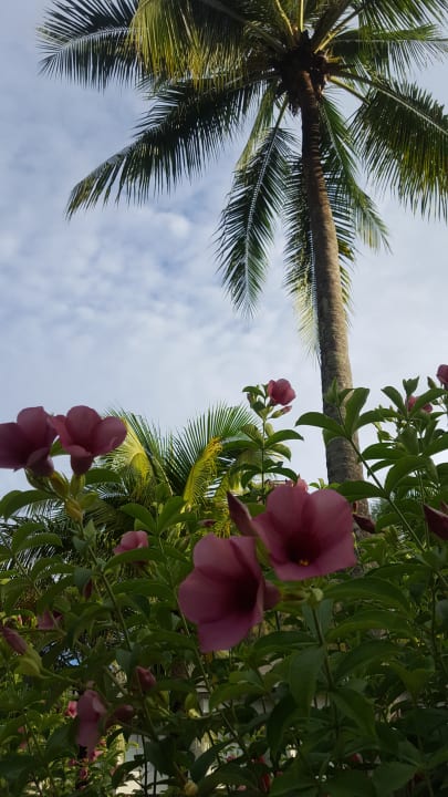 Gartenanlage X10 Khaolak Resort