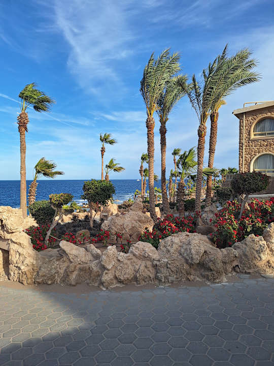 Außenansicht Pickalbatros Citadel Resort