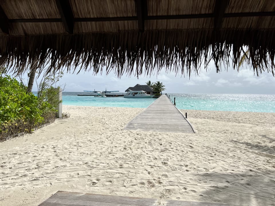 Strand Veligandu Island Resort And Spa Rasdhoo • Holidaycheck Alif Alif Atoll Malediven 