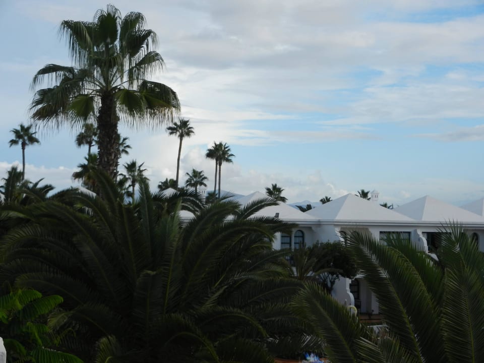 Room 427  1OG H10 Ocean Suites