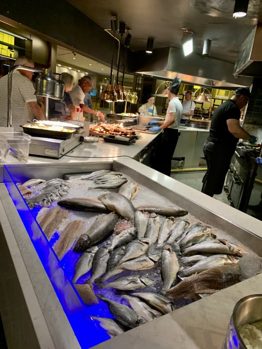 Gastro PALOMA Perissia