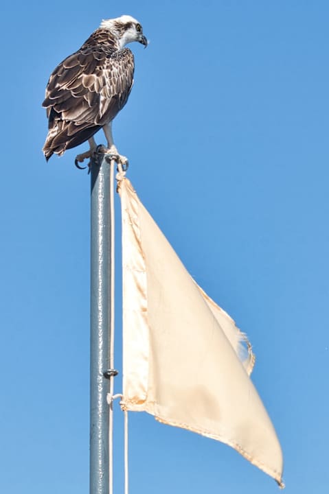 Strand Steigenberger Coraya Beach - Adults only