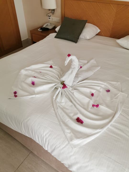 Zimmer Paloma Oceana