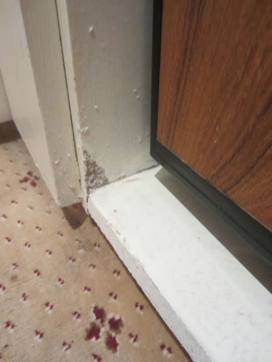 Minibar Hotel Amir Palace