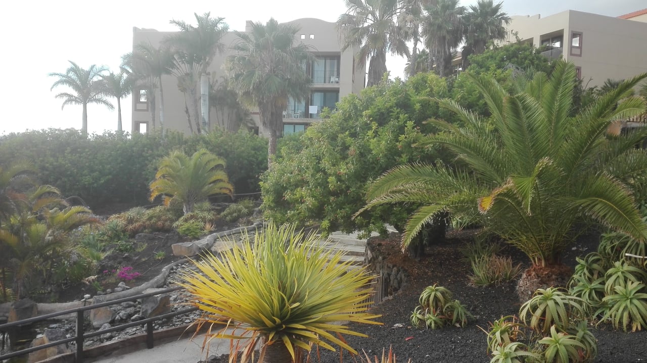 Garten La Palma Princess