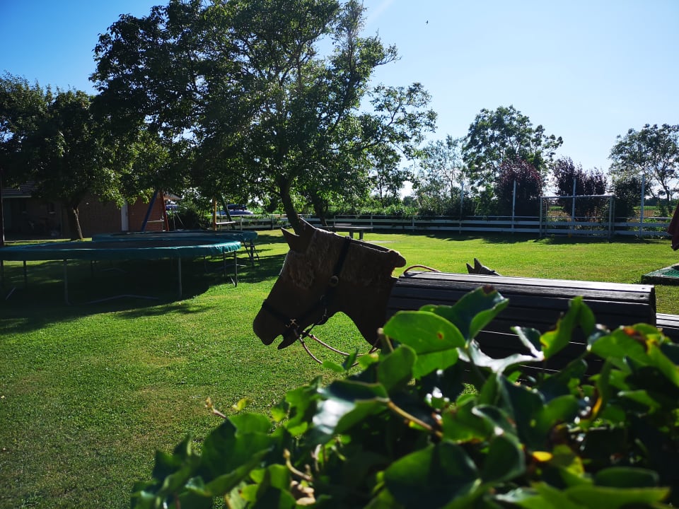 Sport & Freizeit Ferienhäuser Bauernhof Haltermann Landurlaub mit Stil