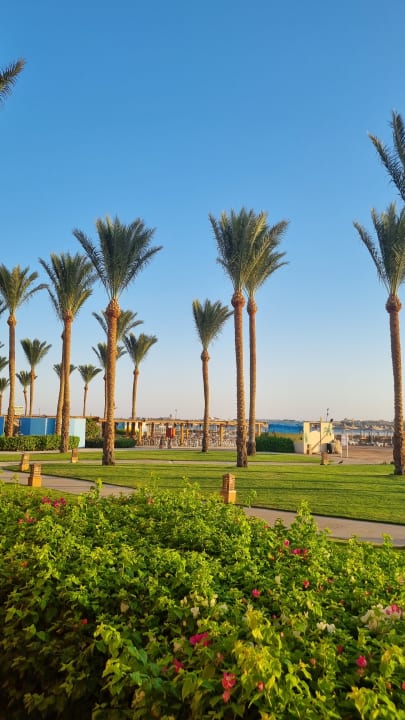 Gartenanlage Stella Beach Resort & Spa Makadi Bay