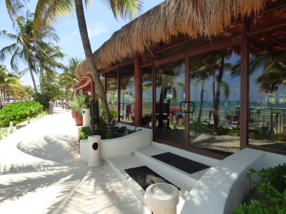 Sonstiges Akumal Bay Beach & Wellness Resort