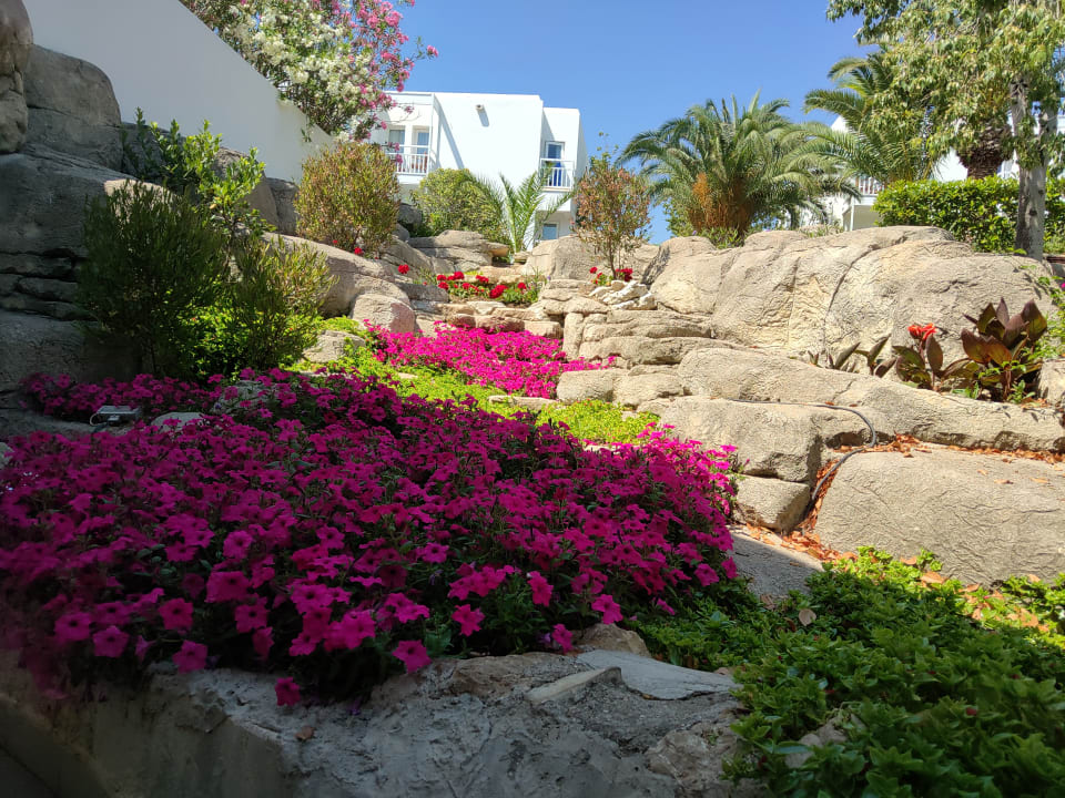 Gartenanlage Monachus Family Resort Sorgun