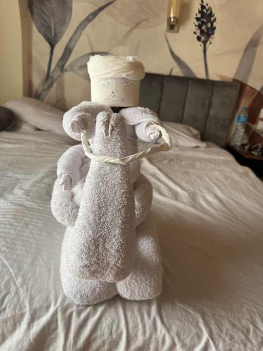 Zimmer Three Corners Sea Beach Resort