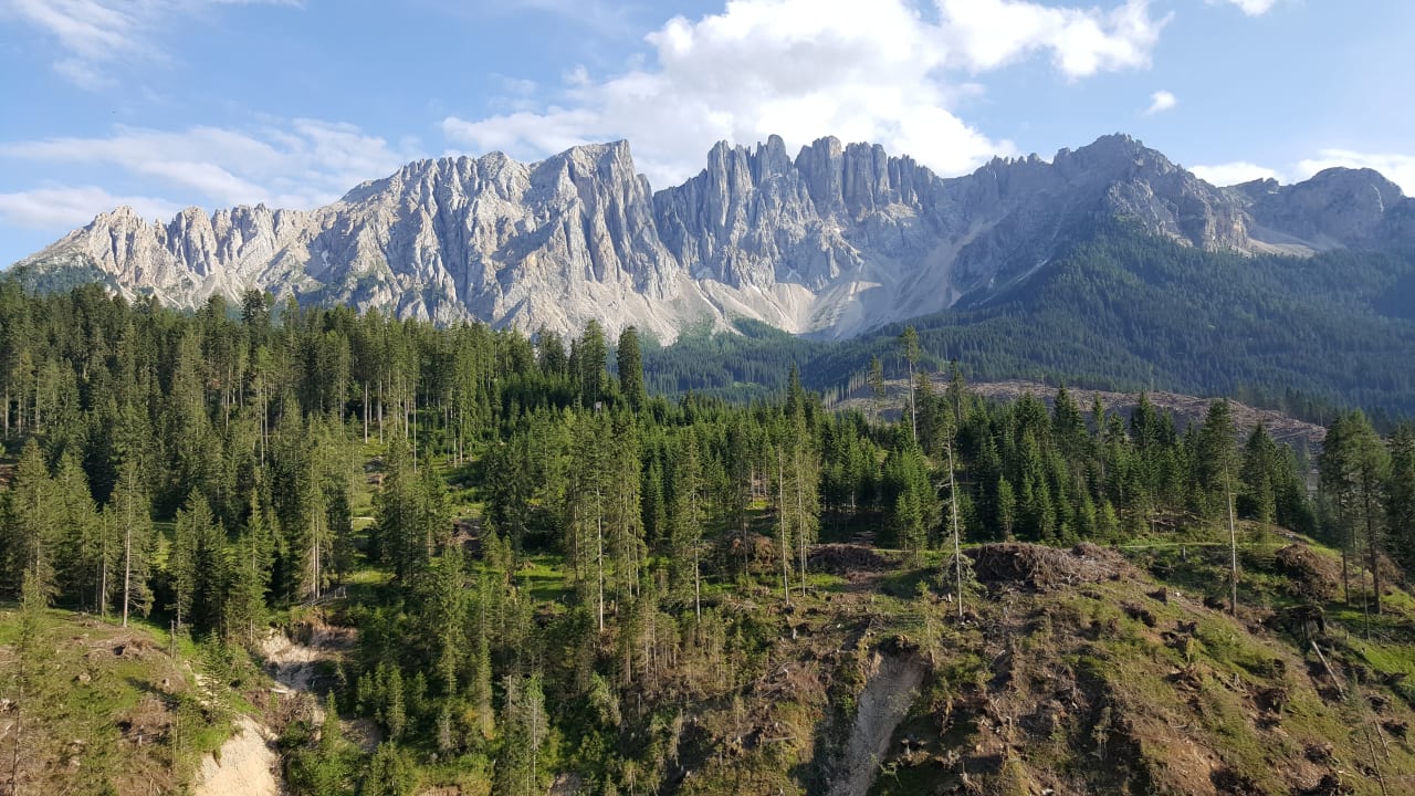 Ausblick Gasthof Meierei
