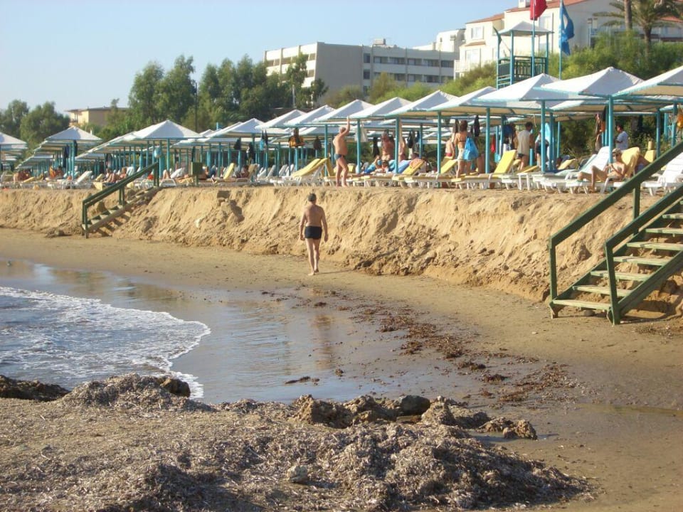 Strand PALOMA Perissia