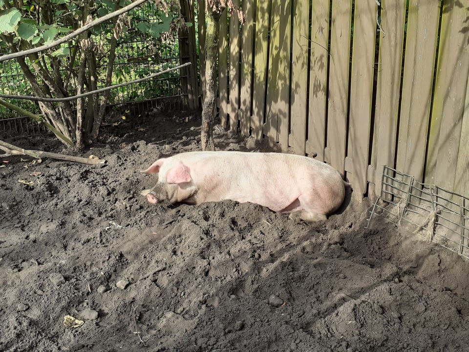 Sonstiges Landhuus Laurenz