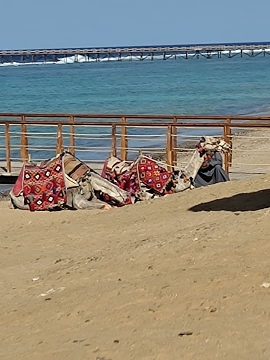 Strand Lazuli Hotel Marsa Alam