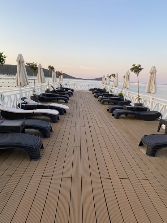 Strand Design Plus Seya Beach Hotel