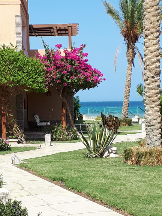 Gartenanlage Shams Prestige Abu Soma-Adults Only