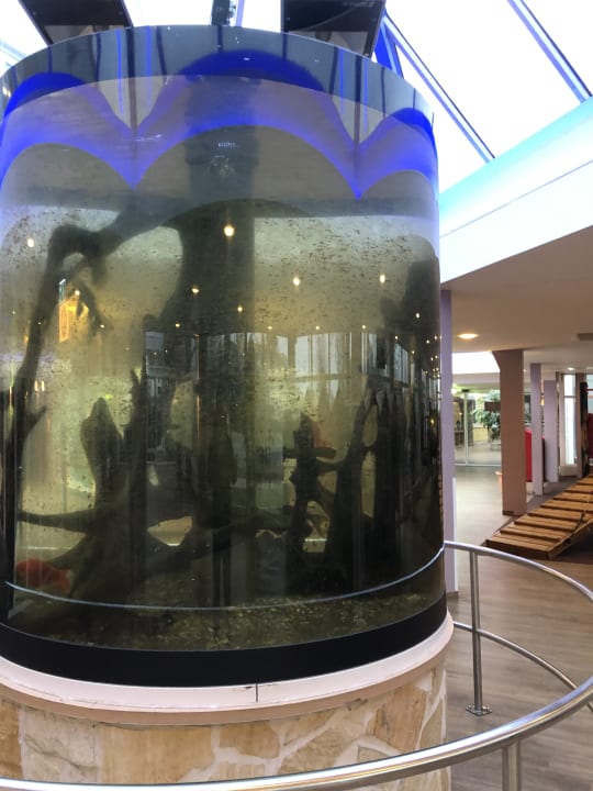 Sonstiges Ferienwohnungen Ferienpark Weissenhäuser Strand