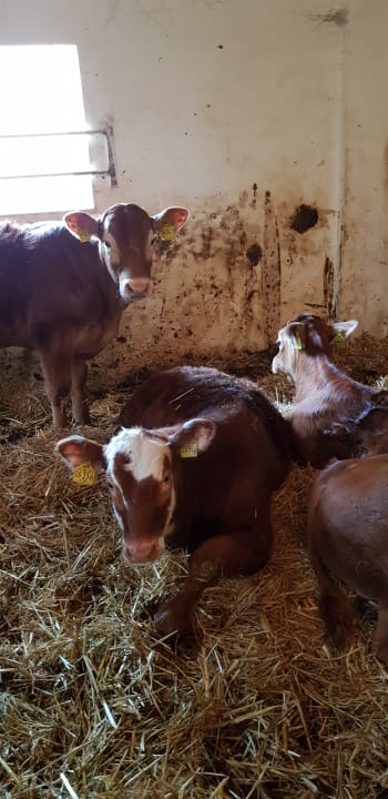 Sonstiges Nordseeferienhof Katthusen