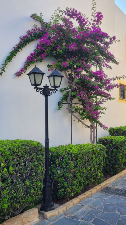 Außenansicht Kefalos Beach Holiday Village