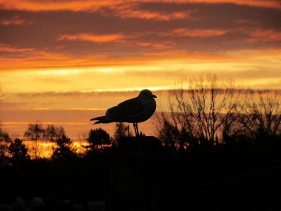 Sonnenaufgang in Travemünde Hotel Deutscher Kaiser