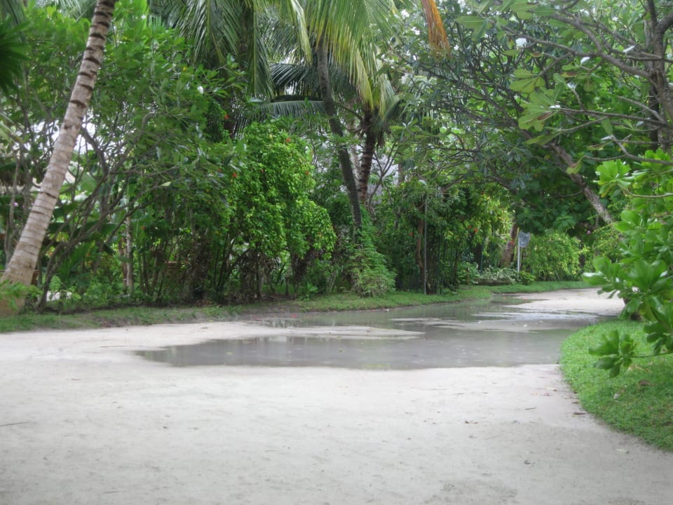 Regen Kuramathi Maldives