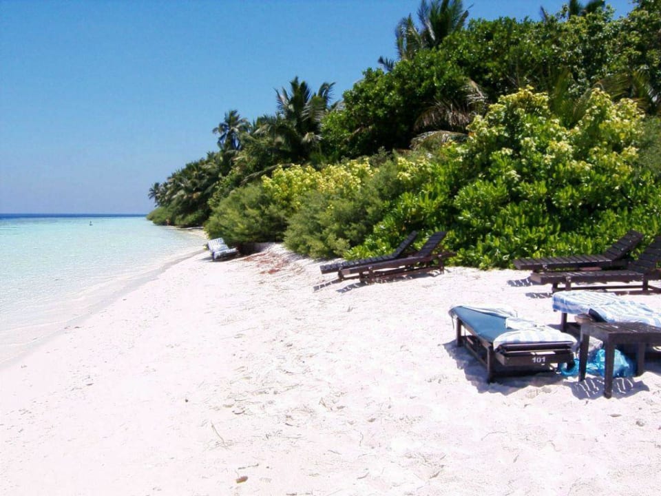 106 Strand nach rechts fotografiert. Vilamendhoo Island Resort & Spa
