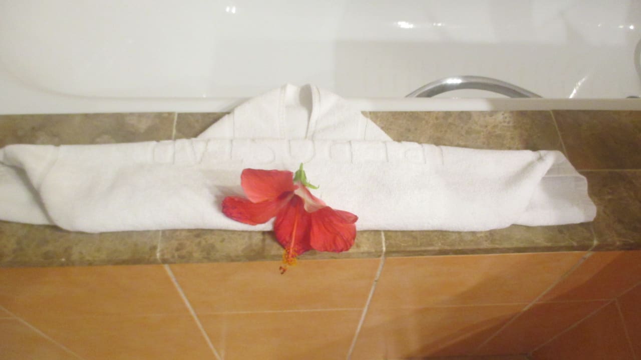 Zimmer Iberostar Selection Varadero