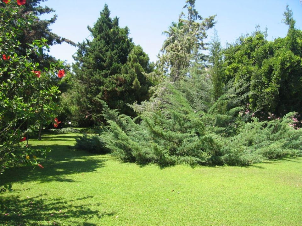 Naturgewachsener Garten Labranda Alantur Resort
