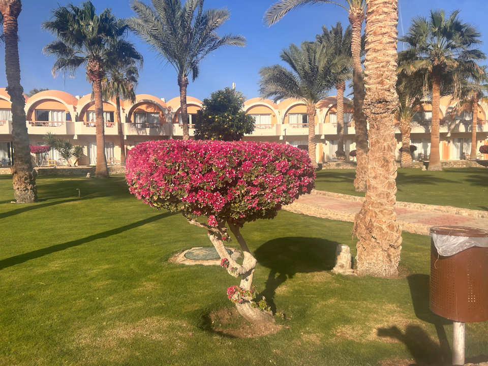 Gartenanlage Three Corners Sea Beach Resort