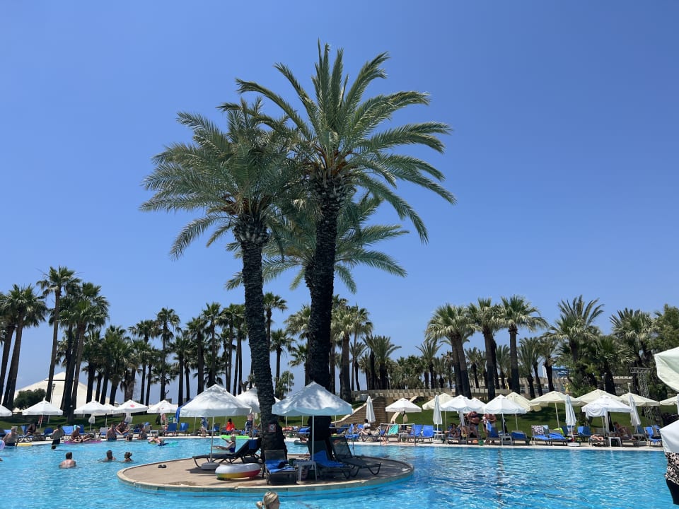 Pool Monachus Family Resort Sorgun