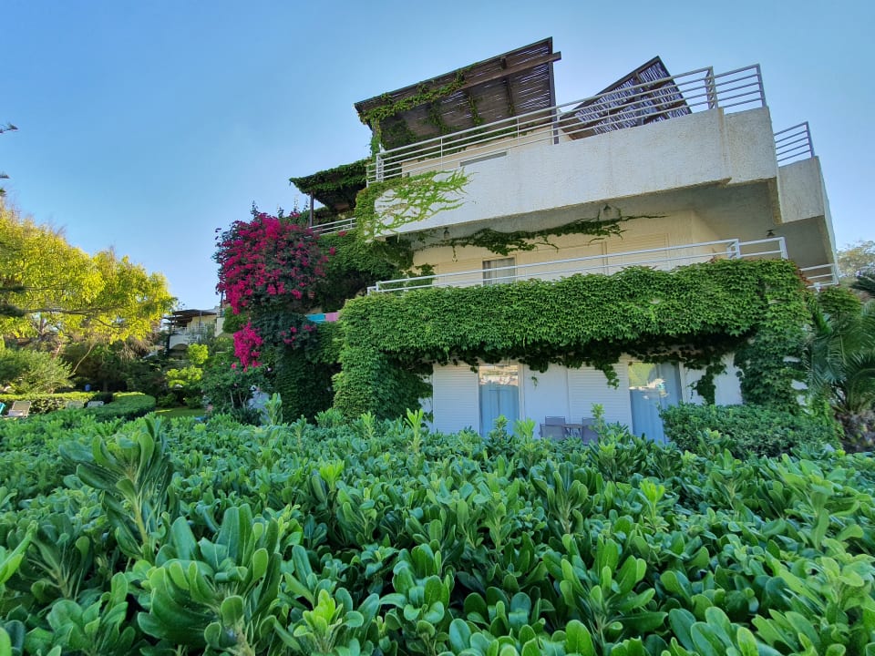 Außenansicht Apollonia Beach Resort & Spa