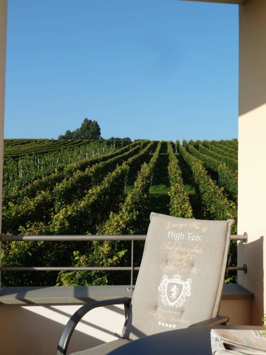 Schöner Ausblick vom Balkon auf die Weinberge! Ferienhof Berger UG