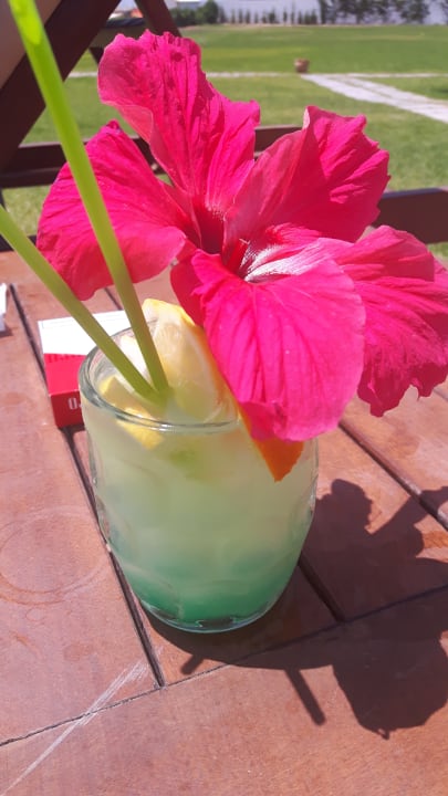 Leckere Cocktails am Pool. Club Salammbô Hammamet