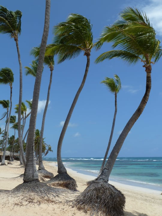 Strand Grand Sirenis Punta Cana Resort & Aquagames