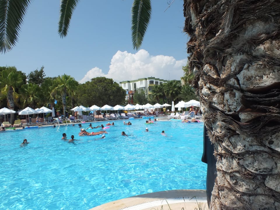 Hauptpool Botanik Hotel & Resort