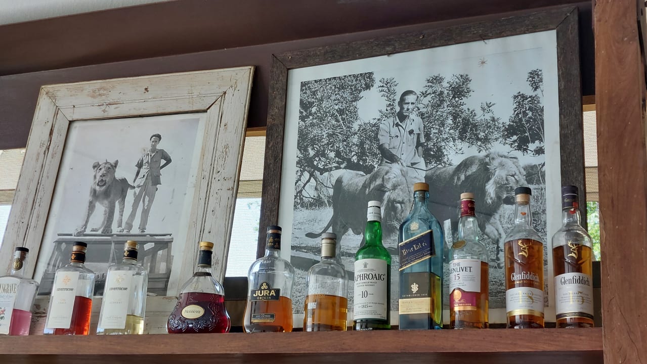 Gastro Chinzombo Camp