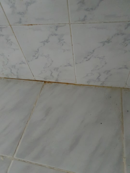 Zimmer Giftun Azur Resort