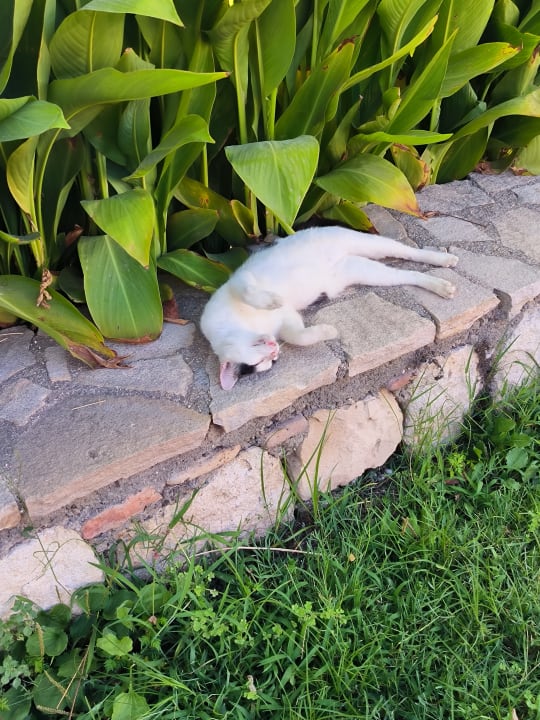 Außenansicht Can Garden Beach