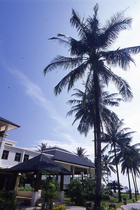 Outside picture Khaolak Orchid Beach Resort