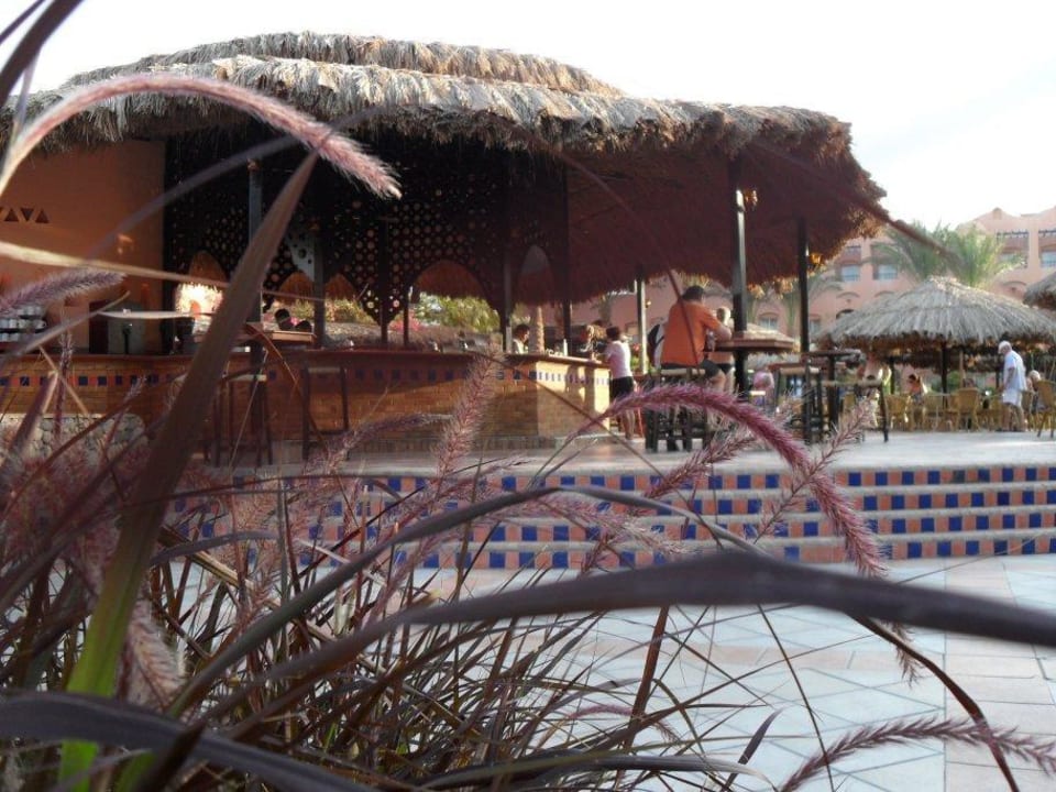 Poolbar am Hauptpool Jaz Makadi Oasis Resort