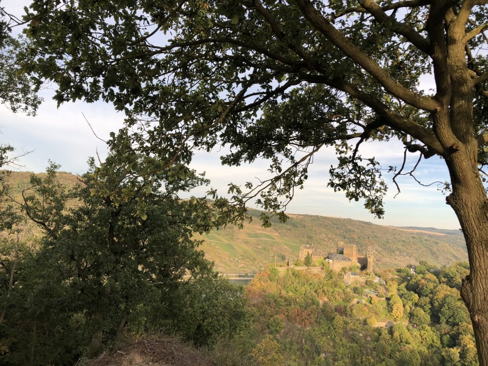 Ausblick Ferienhof Hardthöhe