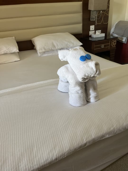 Zimmer Pickalbatros Aqua Vista Resort - Hurghada