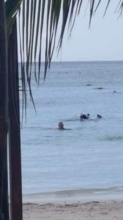 Strand Akumal Bay Beach & Wellness Resort