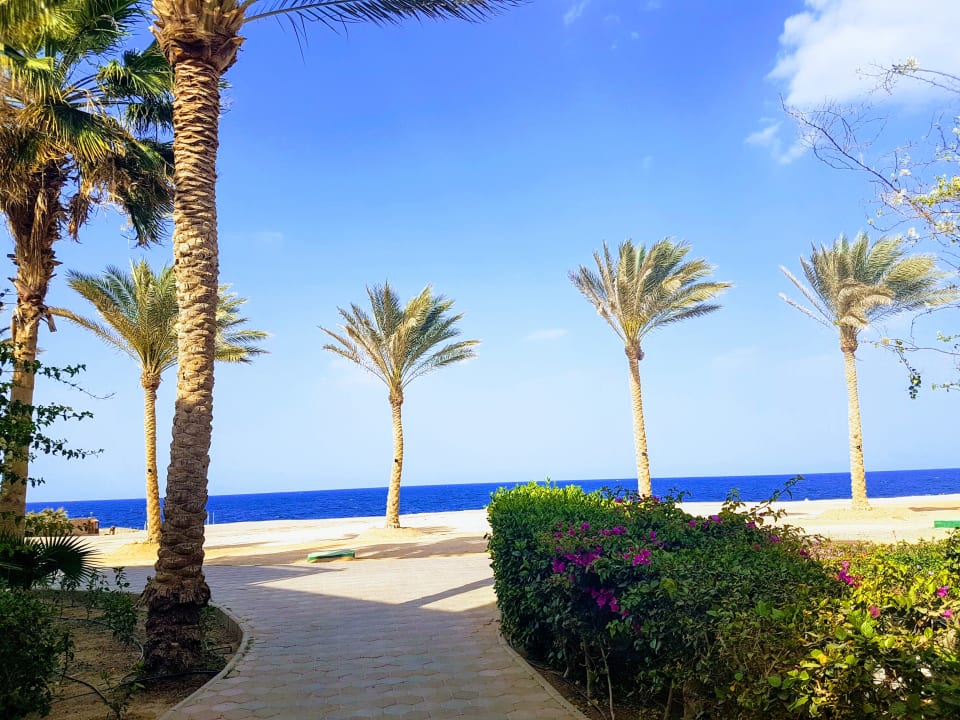 Gartenanlage Steigenberger Coraya Beach - Adults only