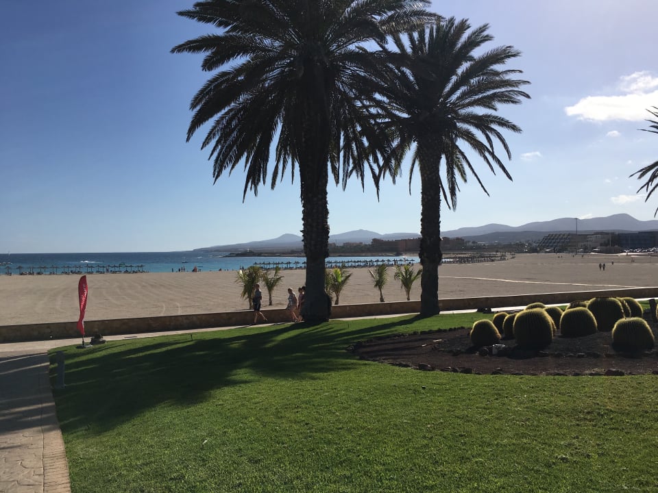 Schöne Anlage direkt am Strand Barceló Fuerteventura Castillo