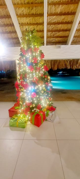 Sonstiges Hotel Viva Dominicus Beach by Wyndham - All Inclusive Resort