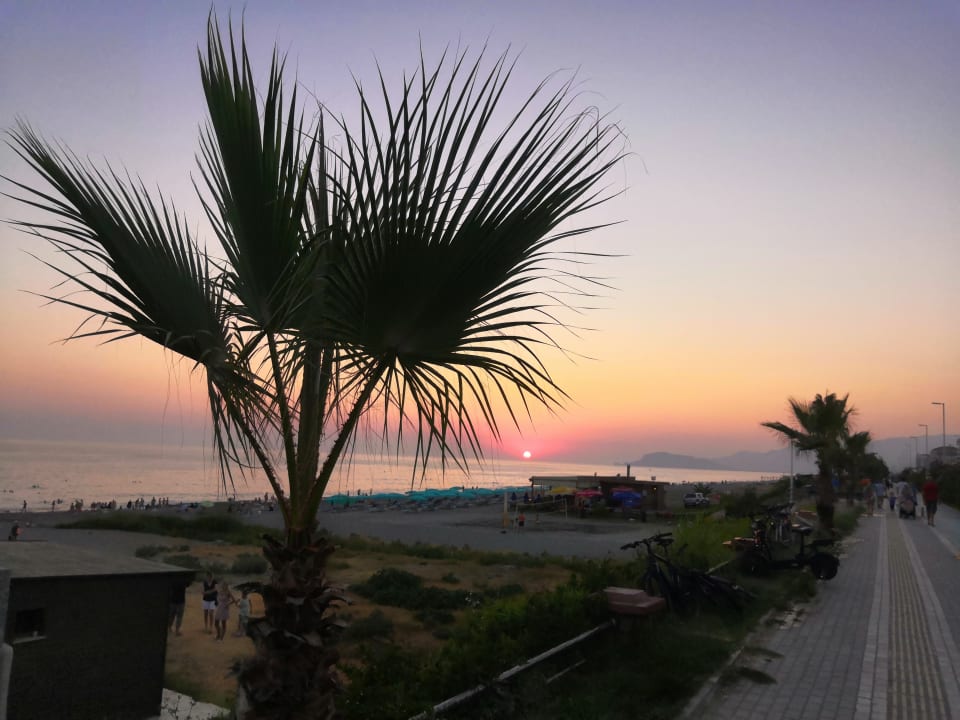 Strand Bieno Club SVS