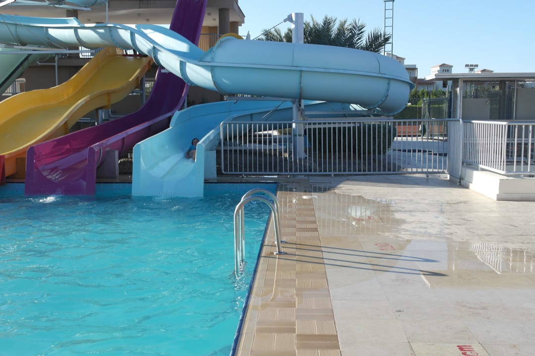 Пуля Desert Rose