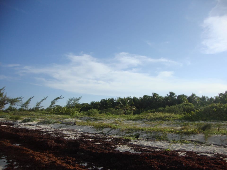Hotel Catalonia Playa Maroma Catalonia Playa Maroma